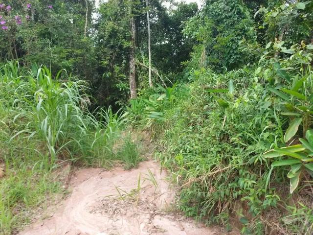 Terreno venda em Ibiúna
