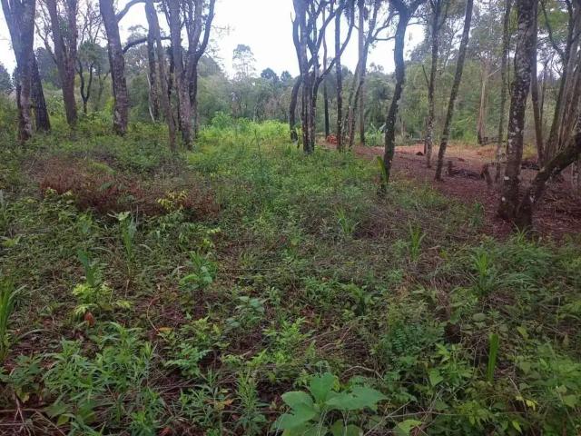 Terreno venda em Região Imediata de Sorocaba, Região Metropolitana de Sorocaba