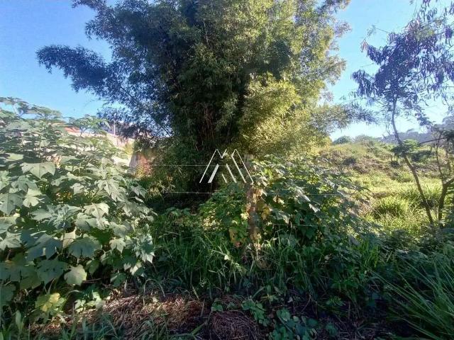 Terreno venda em Região Geográfica Imediata de Belo Horizonte, Região Metropolitana de Belo Horizonte