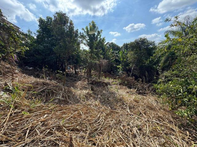 Terreno venda em Igarapé, Região Geográfica Intermediária de Belo Horizonte