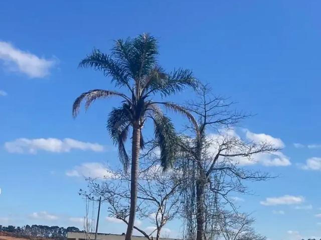 Terreno venda em Região Imediata de São José dos Campos, Região Metropolitana do Vale do Paraíba e Litoral Norte