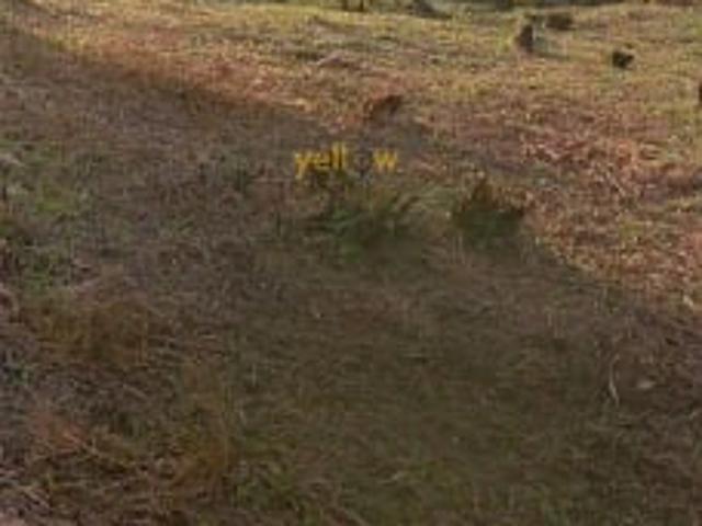 Terreno venda em Igaratá, Região Geográfica Intermediária de São José dos Campos