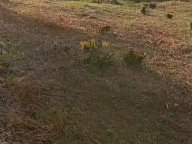 Terreno venda em Região Imediata de São José dos Campos, Região Metropolitana do Vale do Paraíba e Litoral Norte