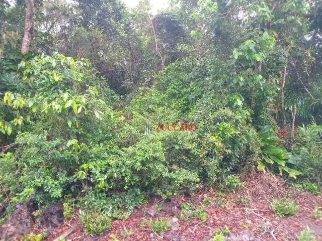 Terreno venda em Região Imediata de Registro, Iguape