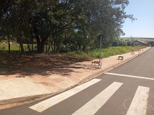 Terreno venda em Região Geográfica Imediata de Maringá, Iguaraçu
