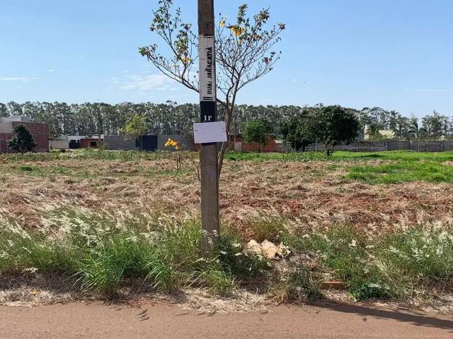 Terreno venda em Região Geográfica Imediata de Maringá, Iguaraçu