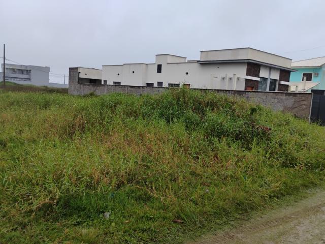 Terreno venda em Ilha Comprida