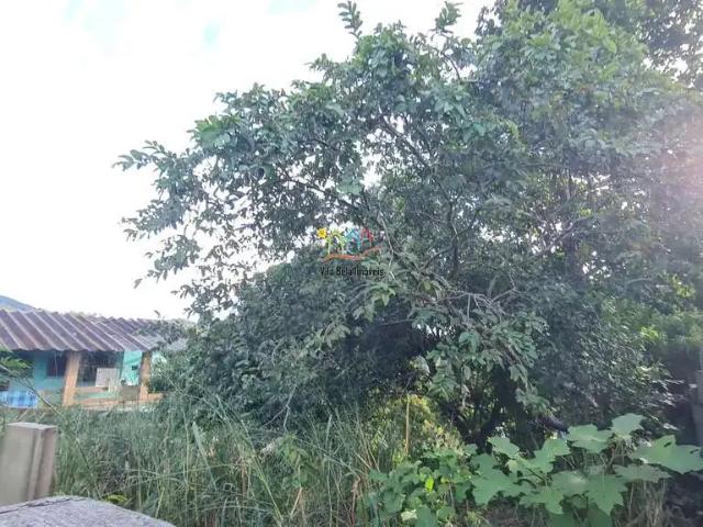 Terreno venda em Zabumba, Ilhabela