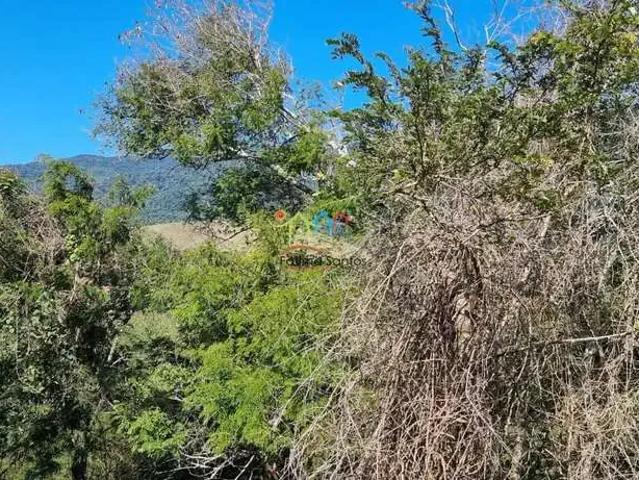 Terreno venda em Cambaquara, Ilhabela