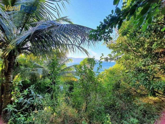 Terreno venda em Região Imediata de Caraguatatuba-Ubatuba-São Sebastião, Região Metropolitana do Vale do Paraíba e Litoral Norte