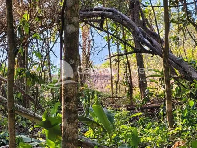 Terreno venda em Cambaquara, Ilhabela