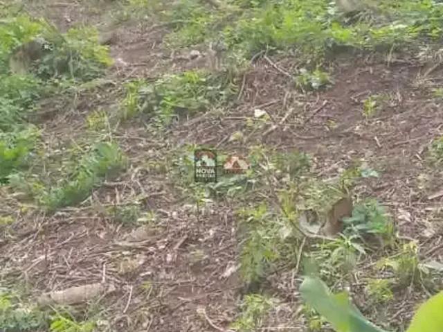 Terreno venda em Camarao, Ilhabela