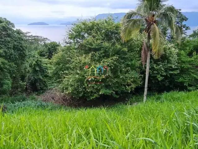 Terreno venda em Cambaquara, Ilhabela