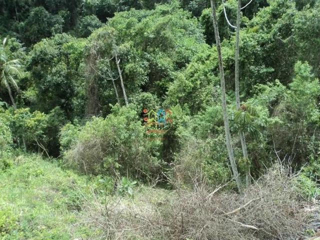 Terreno venda em Viana, Ilhabela