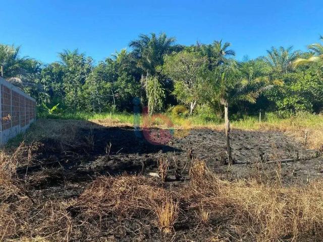 Terreno venda em Região Geográfica Imediata de Ilhéus – Itabuna, Ilhéus