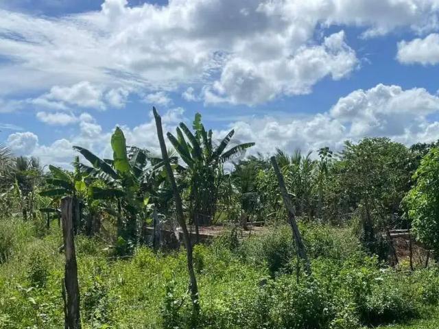 Terreno venda em Ilhéus, Região Geográfica Intermediária de Ilhéus-Itabuna