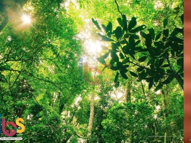 Terreno venda em Região Geográfica Imediata de Ilhéus – Itabuna, Ilhéus