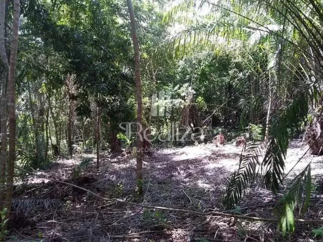 Terreno venda em Região Geográfica Imediata de Ilhéus – Itabuna, Ilhéus