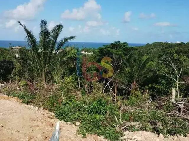 Terreno venda em Região Geográfica Imediata de Ilhéus – Itabuna, Ilhéus