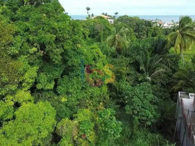 Terreno venda em Região Geográfica Imediata de Ilhéus – Itabuna, Ilhéus