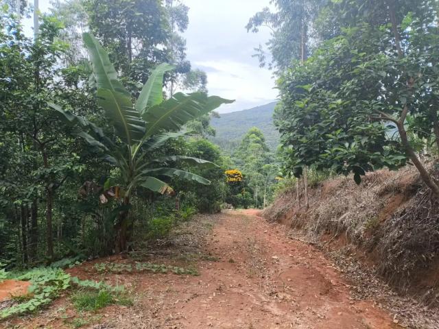 Terreno venda em Região Geográfica Imediata de Blumenau, Ilhota