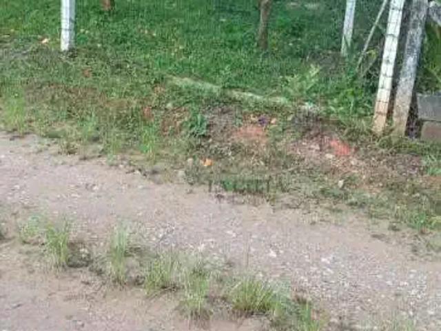 Terreno venda em Região Geográfica Imediata de Blumenau, Ilhota