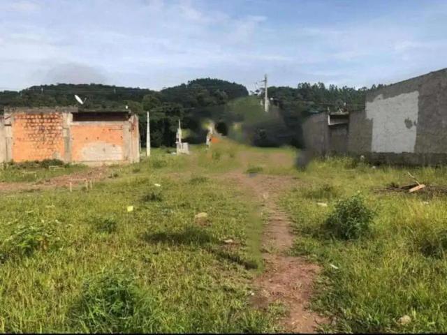 Terreno venda em Região Geográfica Imediata de Blumenau, Ilhota
