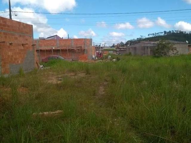 Terreno venda em Ilhota, Pedra de Amolar