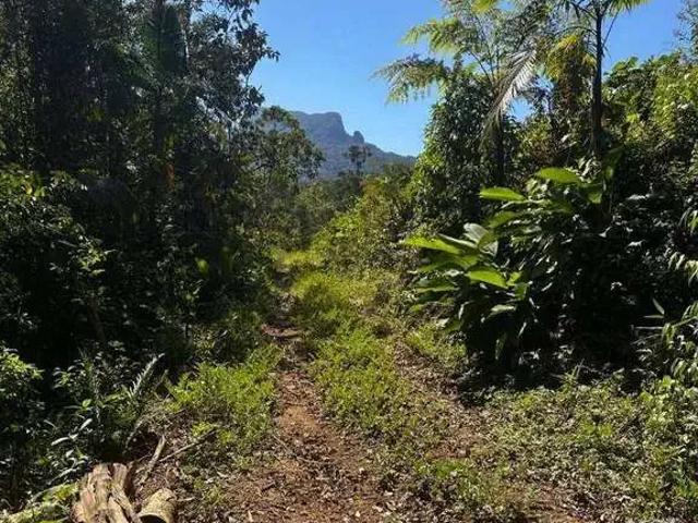 Terreno venda em Região Geográfica Imediata de Blumenau, Ilhota