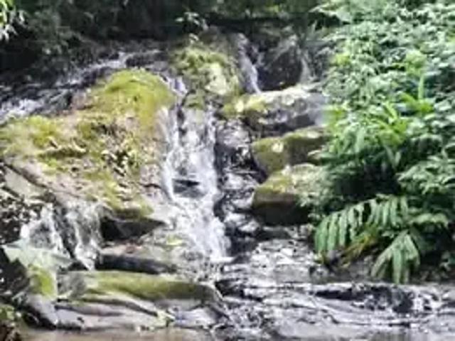 Terreno venda em Região Geográfica Imediata de Blumenau, Ilhota