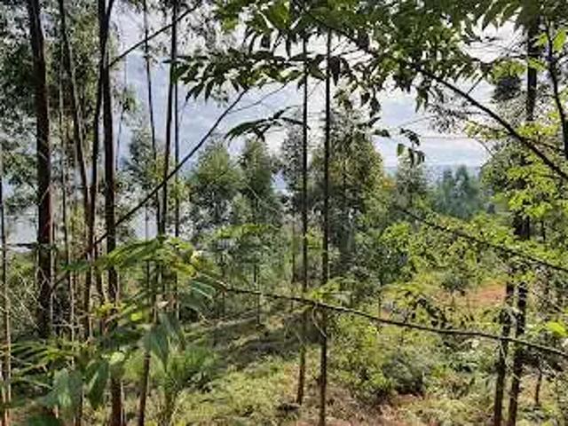 Terreno venda em Região Geográfica Imediata de Tubarão, Imaruí