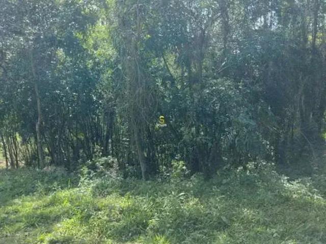 Terreno venda em Região Geográfica Imediata de Tubarão, Imaruí
