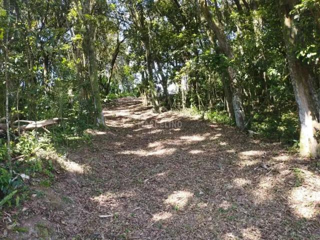Terreno venda em Região Geográfica Imediata de Tubarão, Imaruí
