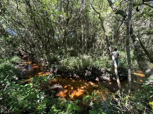 Terreno venda em Região Geográfica Imediata de Florianópolis, Imbituba