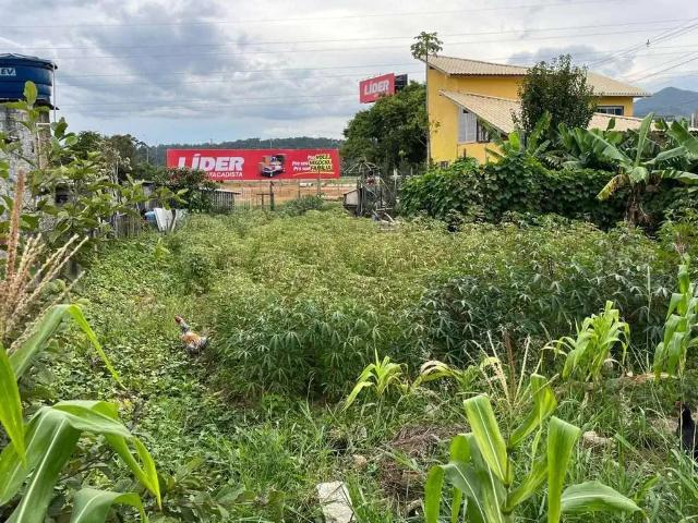 Terreno venda em Região Geográfica Imediata de Florianópolis, Imbituba