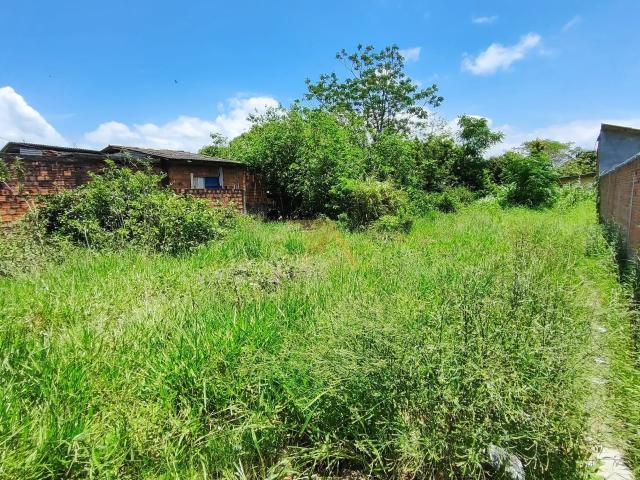 Terreno venda em Região Geográfica Imediata de Florianópolis, Imbituba