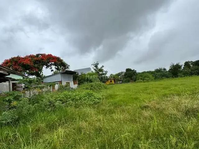 Terreno venda em Região Geográfica Imediata de Florianópolis, Imbituba