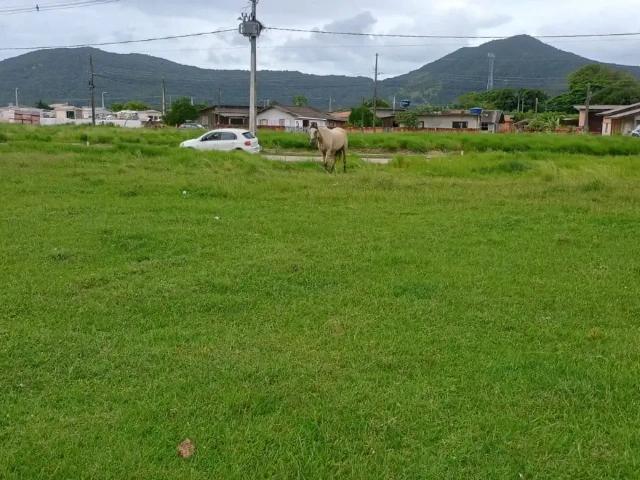 Terreno venda em Região Geográfica Imediata de Florianópolis, Imbituba