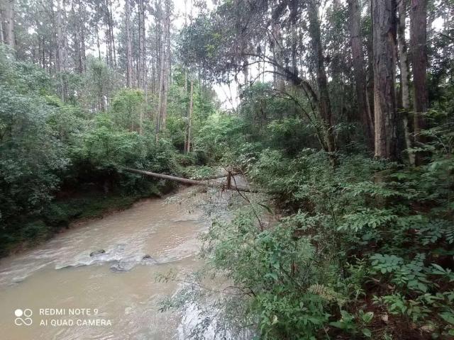 Terreno venda em Região Geográfica Imediata de Irati, Imbituva
