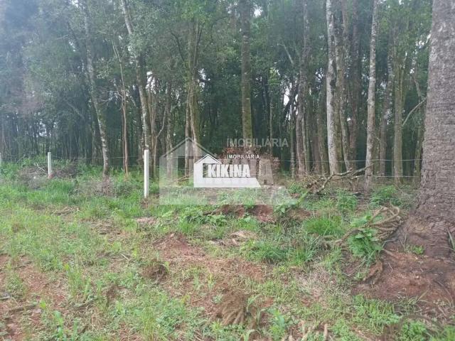 Terreno venda em Região Geográfica Imediata de Irati, Imbituva