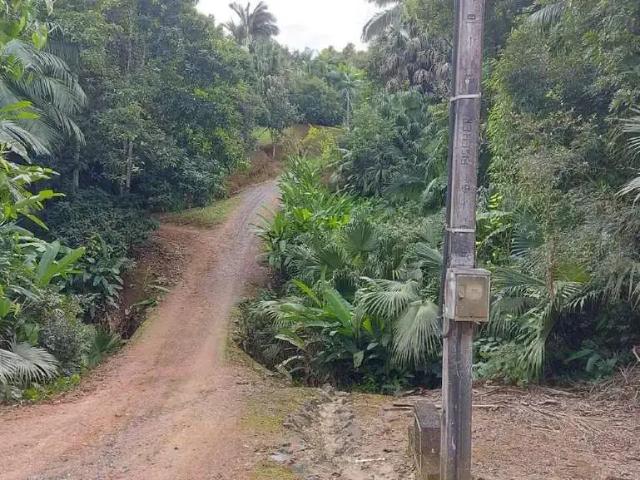 Terreno venda em Região Geográfica Imediata de Blumenau, Indaial