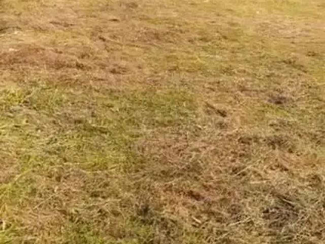 Terreno venda em Região Geográfica Imediata de Blumenau, Indaial