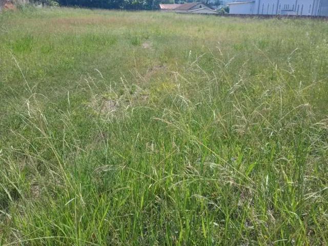 Terreno venda em Região Geográfica Imediata de Blumenau, Indaial