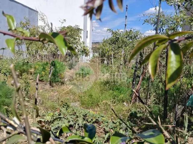 Terreno venda em Região Imediata de Campinas, Região Metropolitana de Campinas