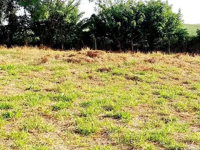Terreno venda em Região Imediata de Campinas, Região Metropolitana de Campinas