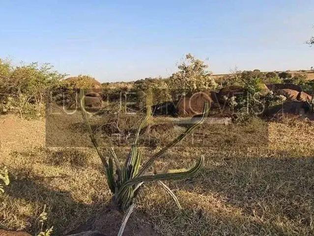Terreno venda em Região Imediata de Campinas, Região Metropolitana de Campinas