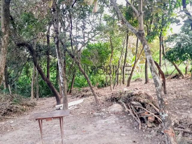 Terreno venda em Região Imediata de Campinas, Região Metropolitana de Campinas