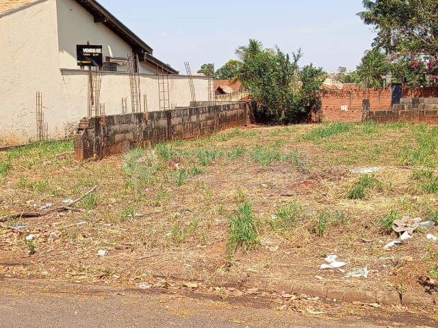 Terreno venda em Jardim Primavera, Ipiguá