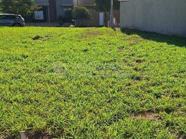 Terreno venda em Ipiguá