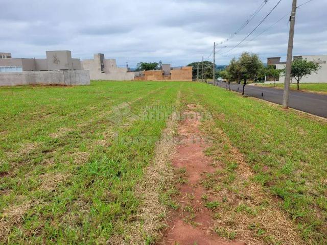 Terreno venda em Região Imediata de São José do Rio Preto, Região Metropolitana de São José do Rio Preto